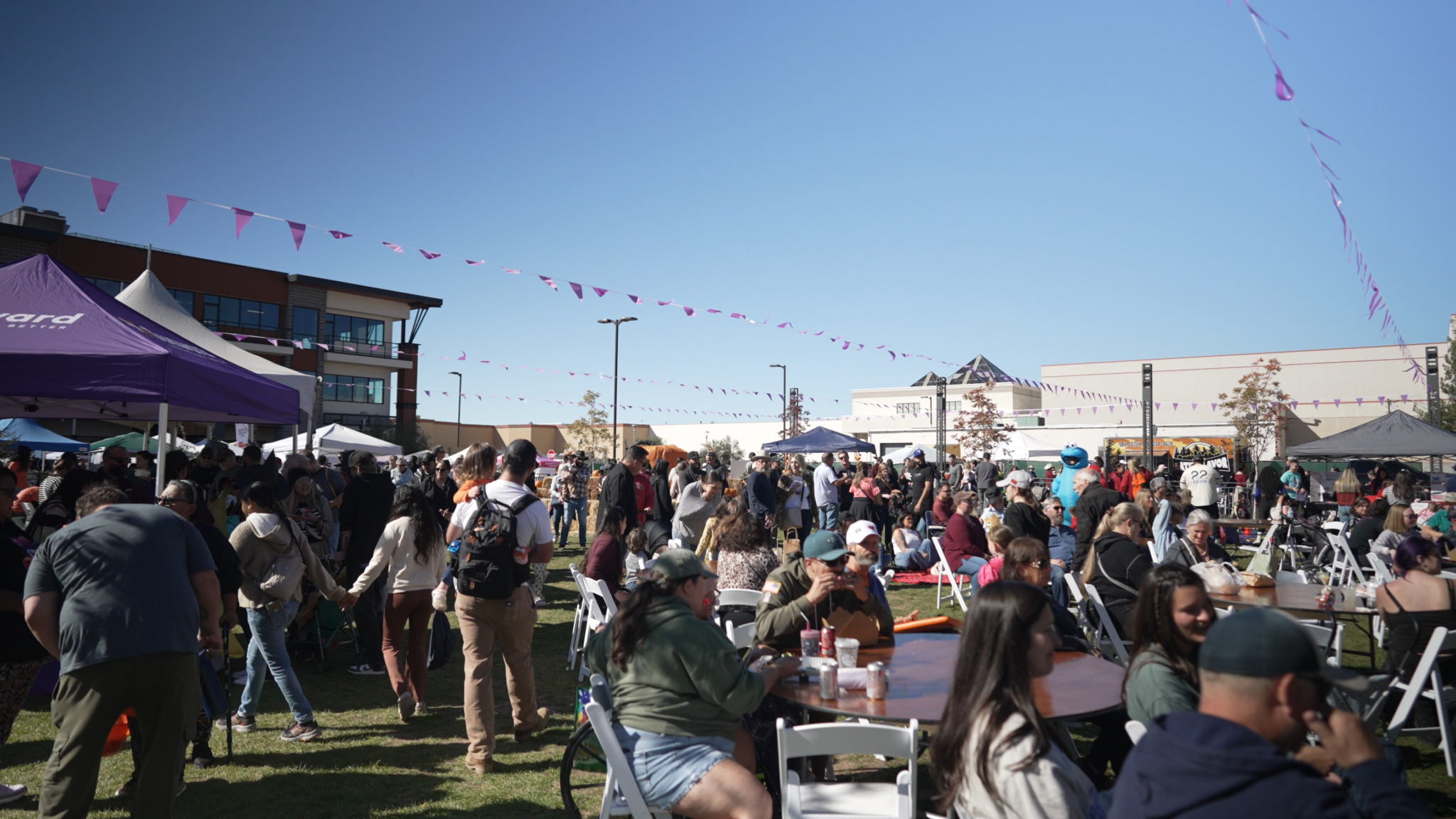 DJI_0040.00_00_30_08.Still013