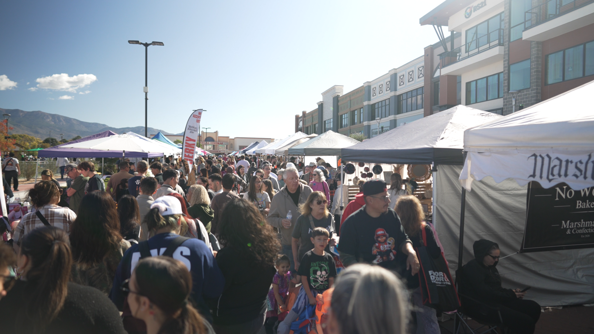 DJI_0040.00_00_58_11.Still010