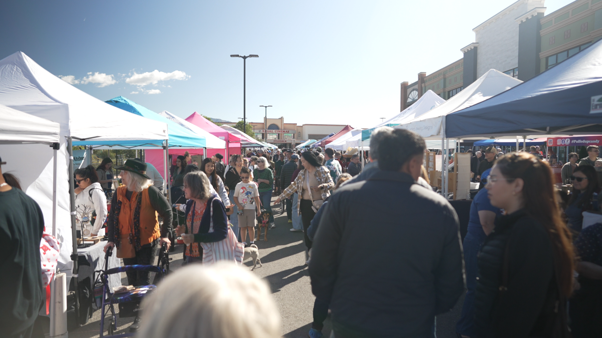 DJI_0040.00_10_48_14.Still032